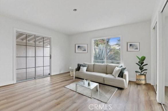 living room with light hardwood / wood-style floors