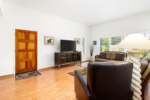 living room with light hardwood / wood-style flooring