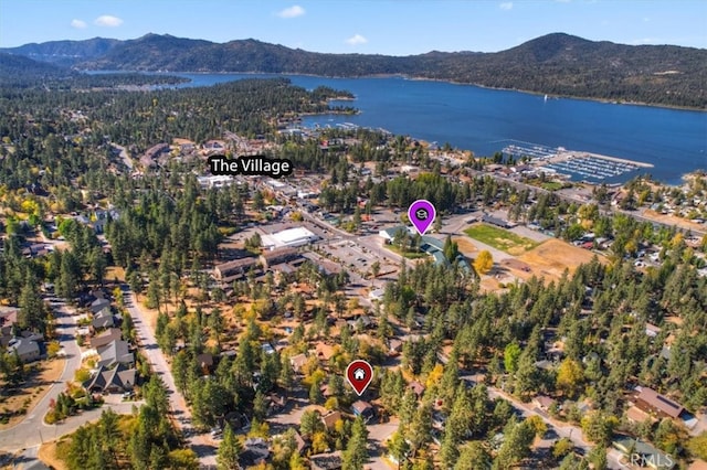 birds eye view of property featuring a water and mountain view