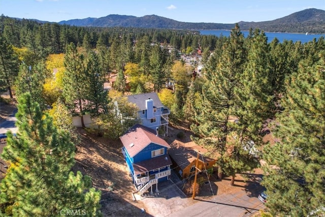 birds eye view of property featuring a mountain view