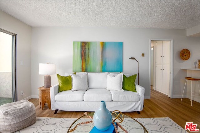 living room with a textured ceiling and hardwood / wood-style flooring