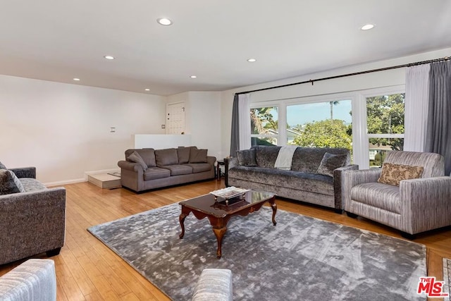 living room featuring hardwood / wood-style floors