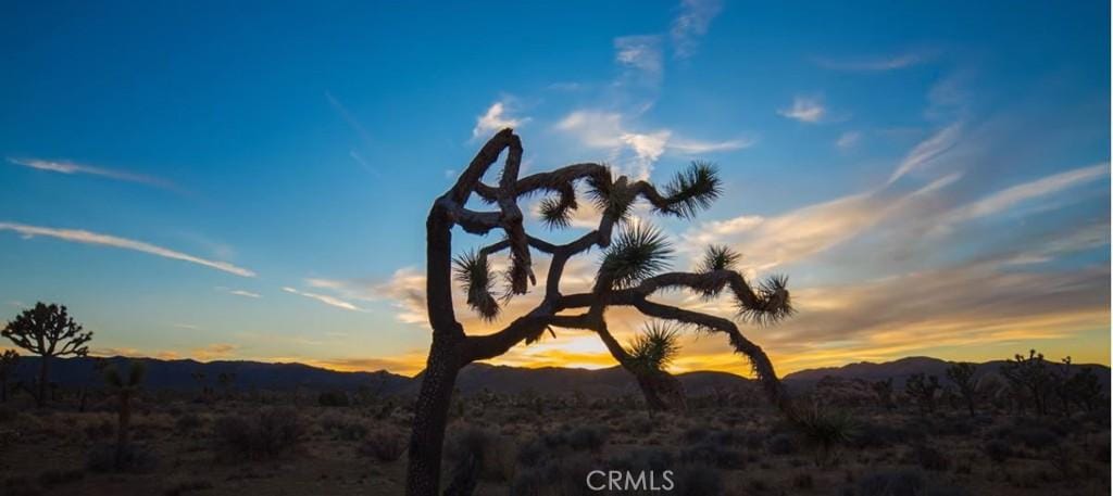 0 Farimont Dr, Joshua Tree, CA 92252