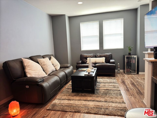 living room with dark wood-type flooring