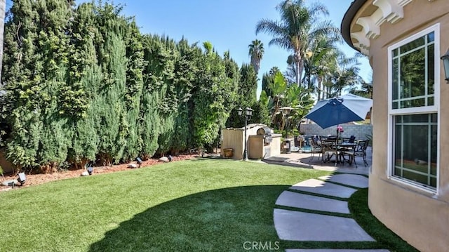 view of yard with a patio area and exterior kitchen