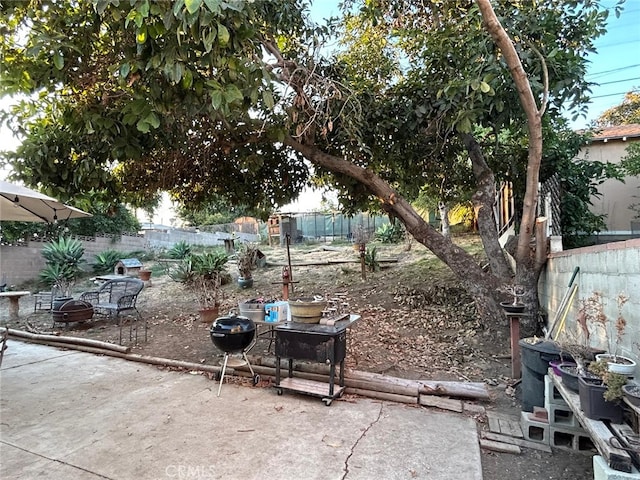 view of yard with a patio area