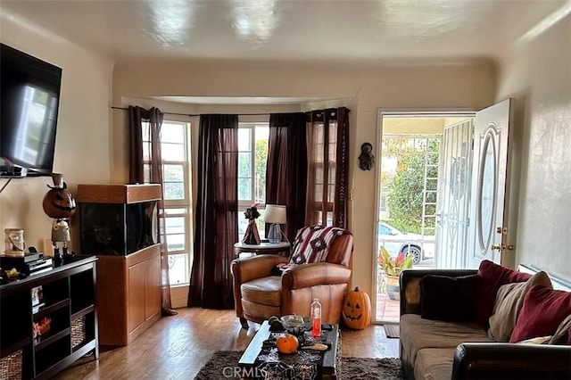 sitting room with light hardwood / wood-style floors and plenty of natural light