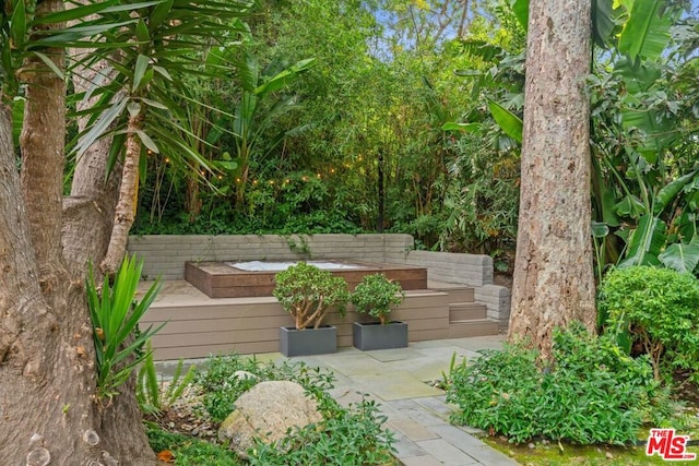 view of yard with a patio area