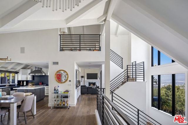 entryway with sink, dark hardwood / wood-style floors, high vaulted ceiling, and plenty of natural light