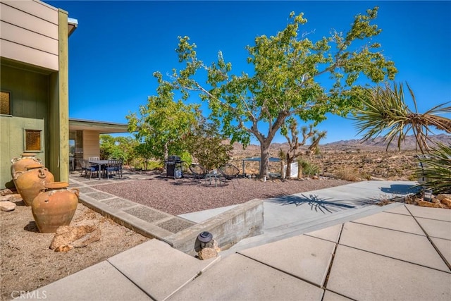 view of yard with a patio area