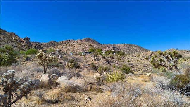 view of mountain feature