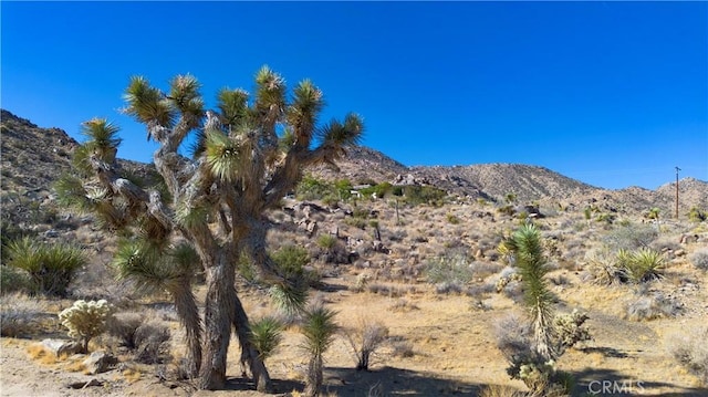 property view of mountains