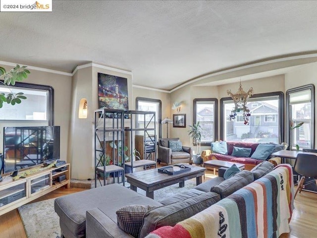 living room featuring a textured ceiling, a notable chandelier, light wood-type flooring, and a healthy amount of sunlight