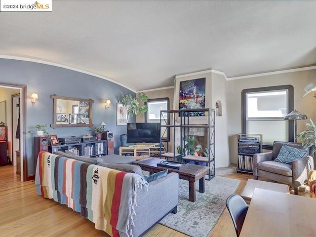 living room with light hardwood / wood-style flooring and ornamental molding