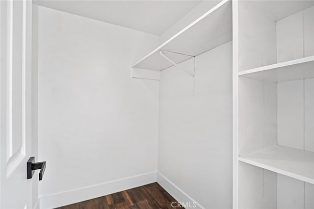 walk in closet with dark hardwood / wood-style floors