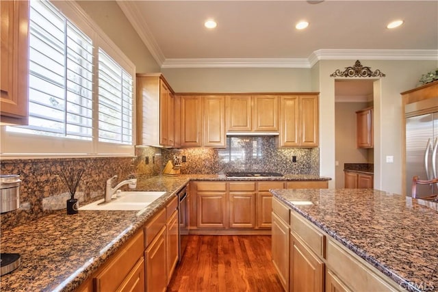 kitchen featuring dark wood-type flooring, stainless steel appliances, ornamental molding, and sink