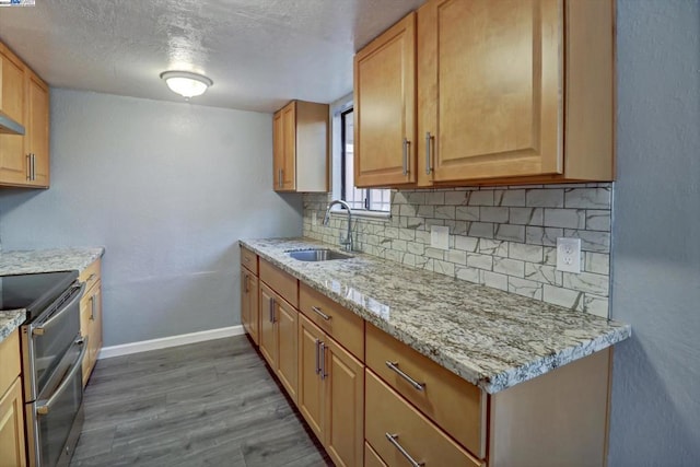 kitchen with sink, backsplash, stainless steel electric range, light stone counters, and hardwood / wood-style flooring