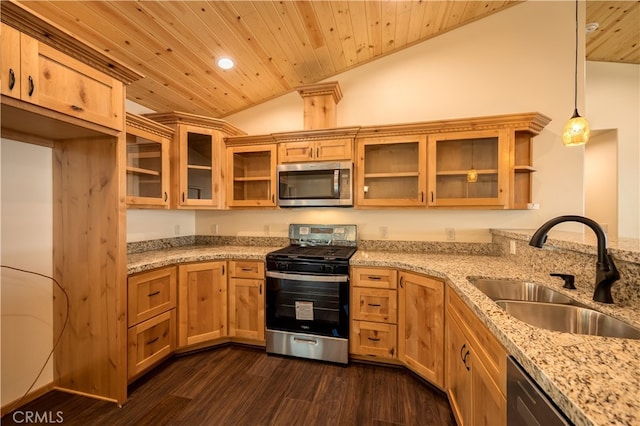 kitchen featuring dark hardwood / wood-style flooring, vaulted ceiling, stainless steel appliances, sink, and decorative light fixtures