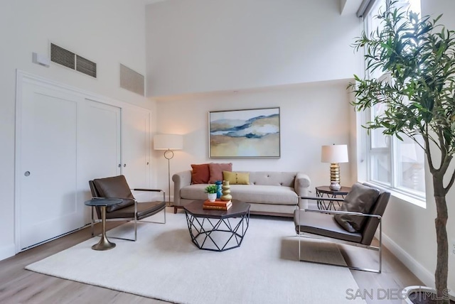 living room featuring wood-type flooring and a high ceiling