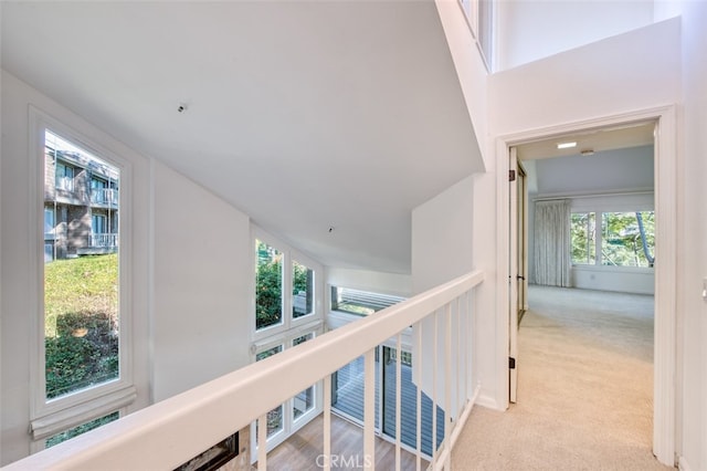 hall featuring light carpet and plenty of natural light