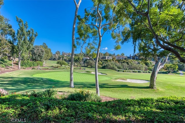 surrounding community featuring a lawn