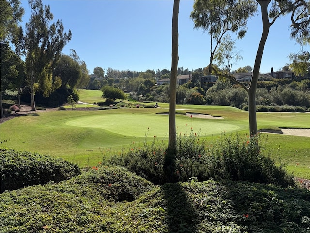 view of home's community with a yard