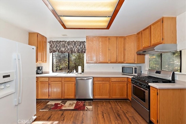 kitchen featuring appliances with stainless steel finishes, dark wood-type flooring, and sink