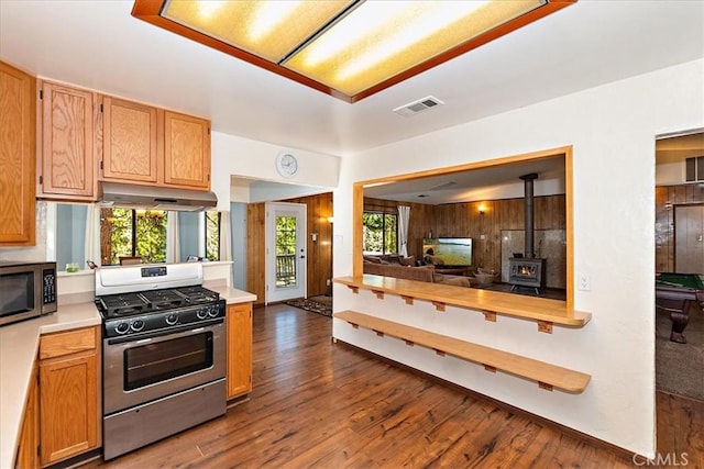 kitchen with a wood stove, a wealth of natural light, dark hardwood / wood-style flooring, and stainless steel appliances