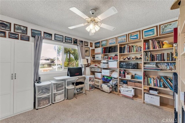1317 Pacific St, Redlands, CA 92373 - living area featuring a textured ceiling, ceiling fan, and carpet floors