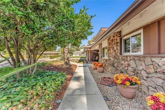 1317 Pacific St, Redlands, CA 92373 - view of yard
