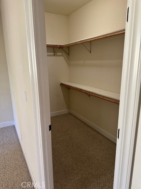 spacious closet with light carpet