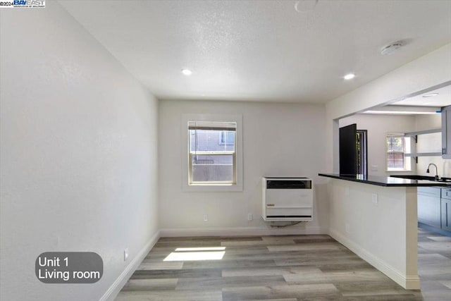 interior space with heating unit, light hardwood / wood-style floors, and sink