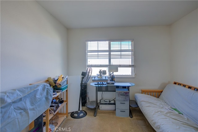 office space with light colored carpet