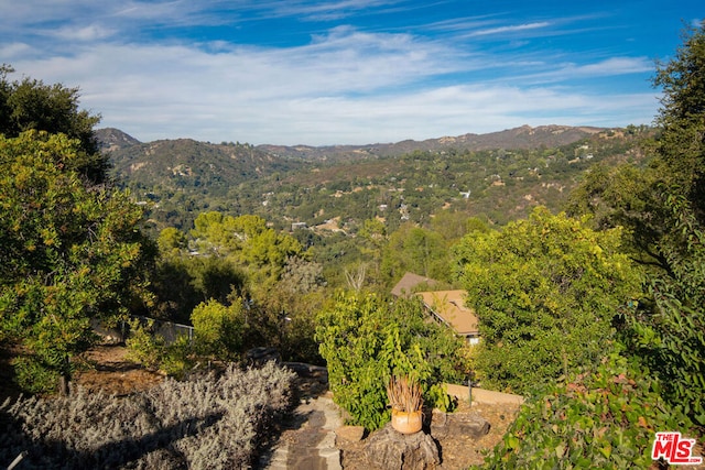 view of mountain feature