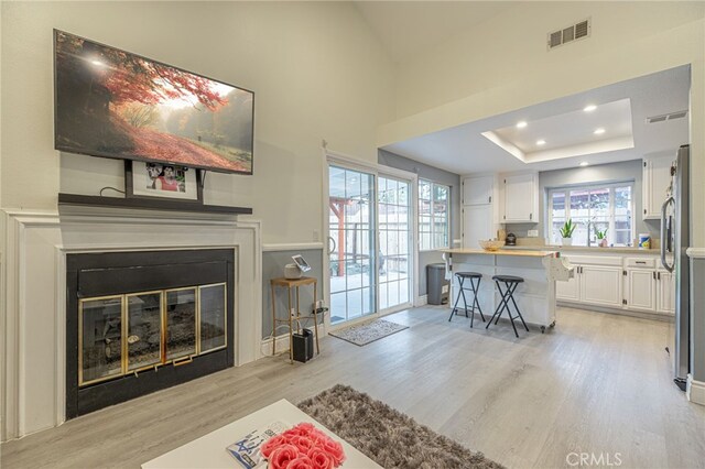 living room featuring a healthy amount of sunlight, light hardwood / wood-style floors, and a raised ceiling