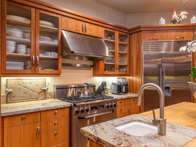 kitchen featuring exhaust hood, sink, premium appliances, and light stone counters