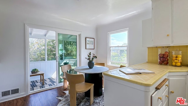 interior space featuring a healthy amount of sunlight and dark hardwood / wood-style flooring