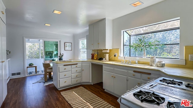 kitchen featuring dark wood-type flooring, a wealth of natural light, kitchen peninsula, and gas range gas stove