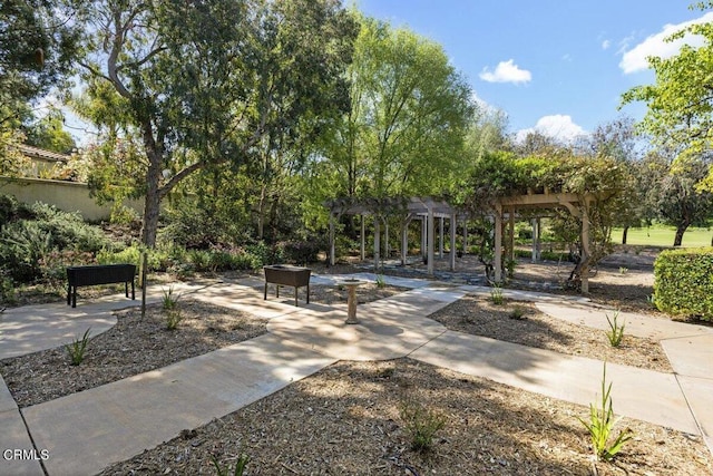 view of community featuring a pergola