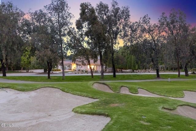 view of home's community with a lawn