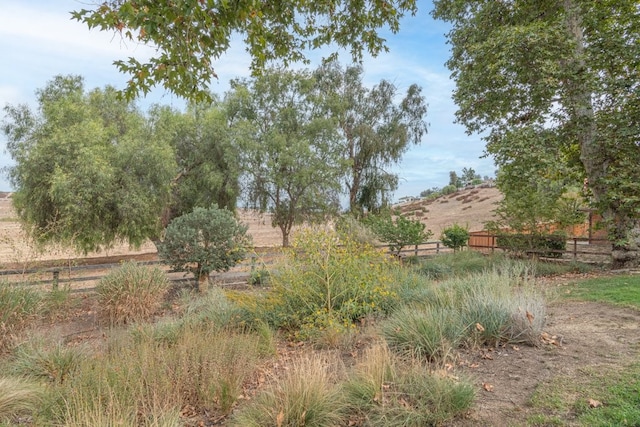 view of local wilderness with a rural view