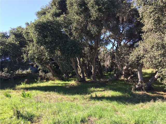 2021 9th St, Los Osos CA, 93402 land for sale