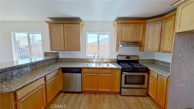 kitchen featuring light wood-type flooring, stainless steel appliances, sink, and plenty of natural light