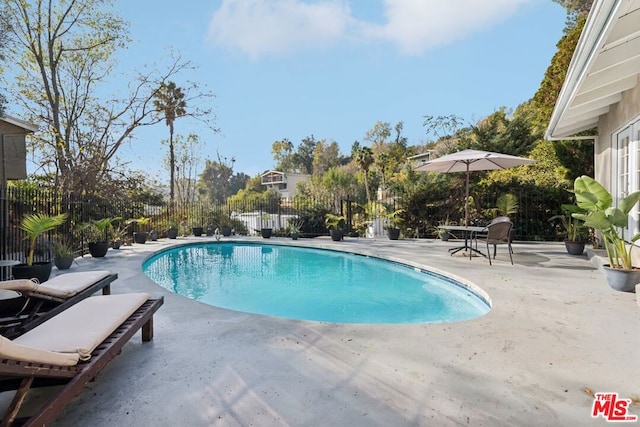 view of swimming pool with a patio