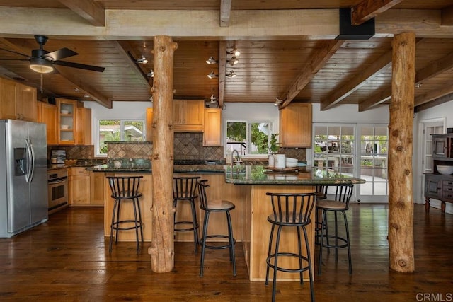 kitchen with ceiling fan, appliances with stainless steel finishes, a healthy amount of sunlight, and dark hardwood / wood-style floors