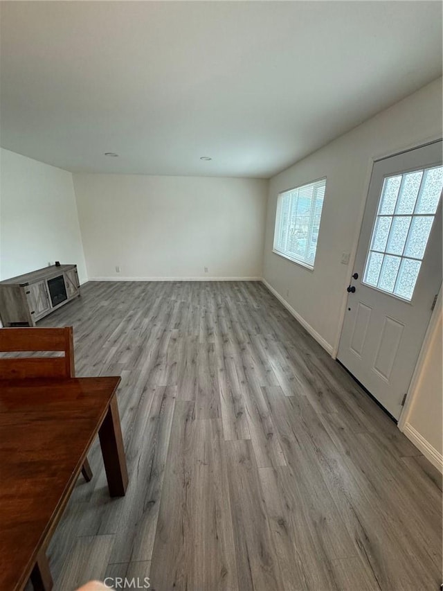 living room with light hardwood / wood-style floors