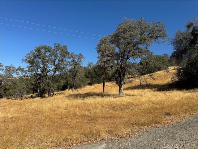 view of nature featuring a rural view