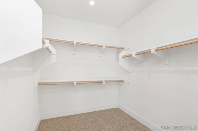 spacious closet featuring carpet flooring