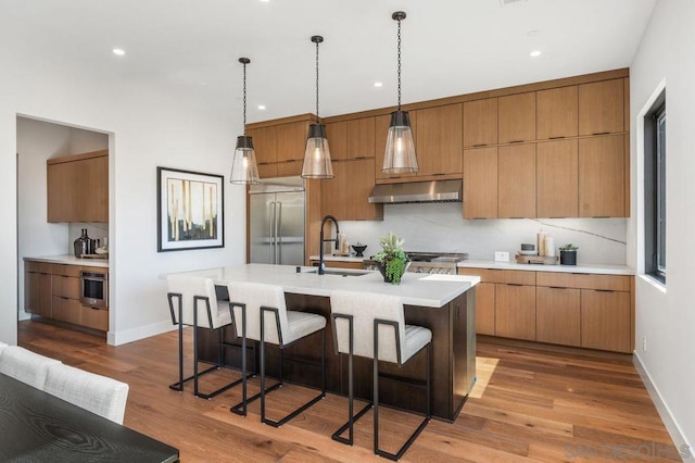 kitchen with pendant lighting, light hardwood / wood-style floors, a center island with sink, sink, and appliances with stainless steel finishes