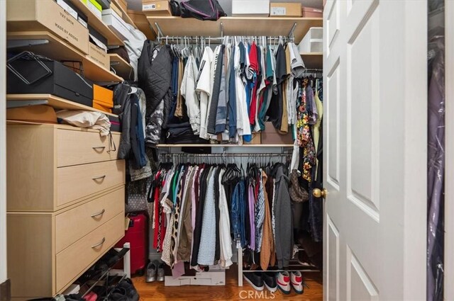 spacious closet with hardwood / wood-style flooring